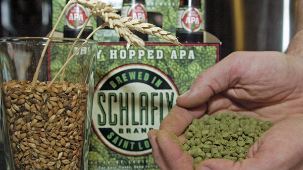 Chief brewer Stephen Hale holds a handful of pelleted hops next to a glass of malted barley at the Schlafly brewery, Friday, April 18, 2008 in St. Louis. (AP / Tom Gannam)