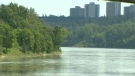 City planners have been given the go-ahead to explore more design options and an estimated price tag for a proposed urban beach along the North Saskatchewan River.