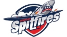 The Windsor Spitfires logo is seen in this file image. (Handout / CTV Windsor)