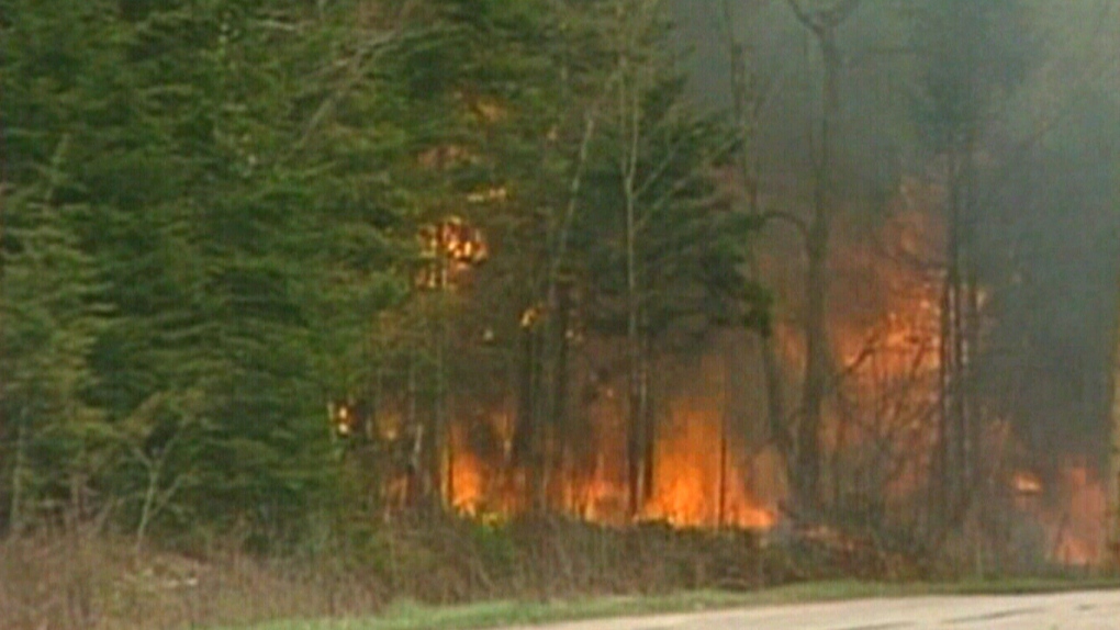 New Brunswick forest fire