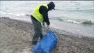 A worker with the City of Toronto picks up trash at Marie Curtis Park on Friday, May 10, 2013.