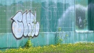 Edmonton Graffiti, generic