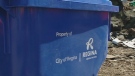 A City of Regina curbside recycling bin is seen in this file photo.