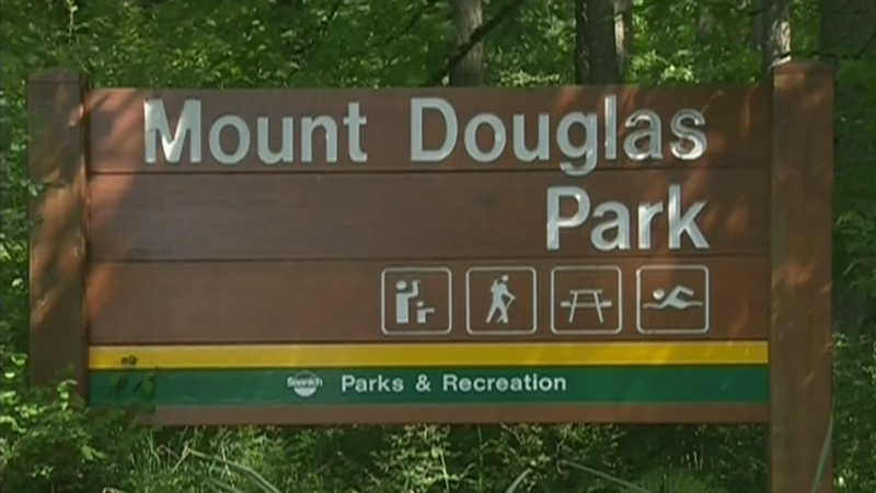 A Victoria man says he came across a cougar at Mount Douglas Park on Friday morning: (CTV News)