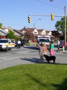 A nine-year-old girl was sent to hospital with minor injuries after getting hit by a car at Parent Avenue and Ellis Street in Windsor, Ont., on Wednesday, May 15, 2013. (Arms Bumanlag / CKLW)