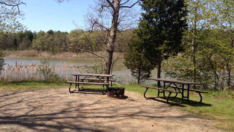 A vacant camp site at Wheatley Provincial Park in Wheatley, Ont., on Thursday, May 16, 2013. (Sacha Long / CTV Windsor)