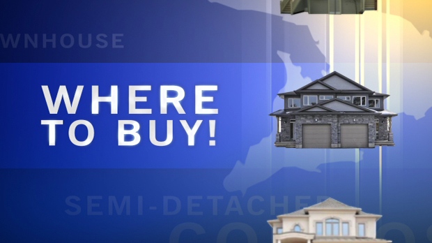 CTV Investigates: Where to Buy