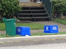A green organics bin and two blue recycling bins are seen in Waterloo, Ont., on Tuesday, May 28, 2013. (David Imrie / CTV Kitchener)
