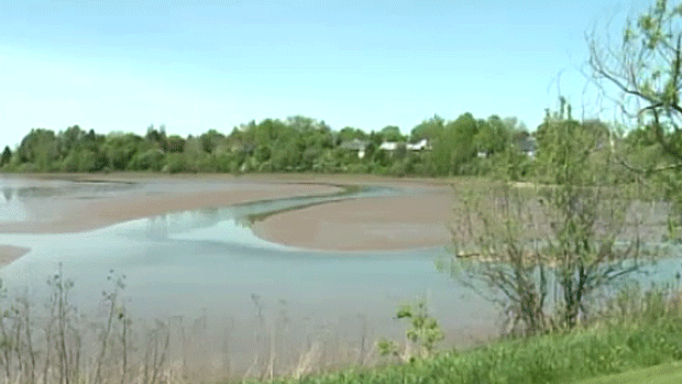 The appearance of two sinkholes near the control gates at the mouth of Jones Lake has prompted the City of Moncton to drain the lake. (CTV Atlantic)