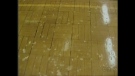 The tile on concrete floors in the gym at Huron Park Secondary School in Woodstock, Ont. are tough on  players' joints.
