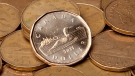 Canadian loonies are pictured. (The Canadian Press/Jonathan Hayward)