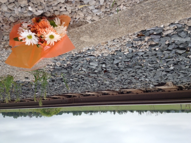 Flowers have been laid at the scene of the fatal train and truck crash on Wallace Line Road in Lakeshore, Ont., on Friday, June 7, 2013. (Gina Chung / CTV Windsor)