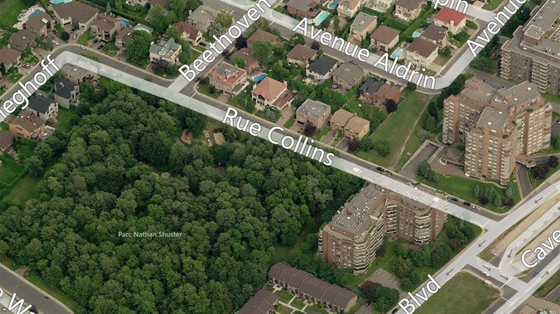 The firebomb that was tossed into home on Collins Road Saturday morning caused little damage. (Image Bing Maps)