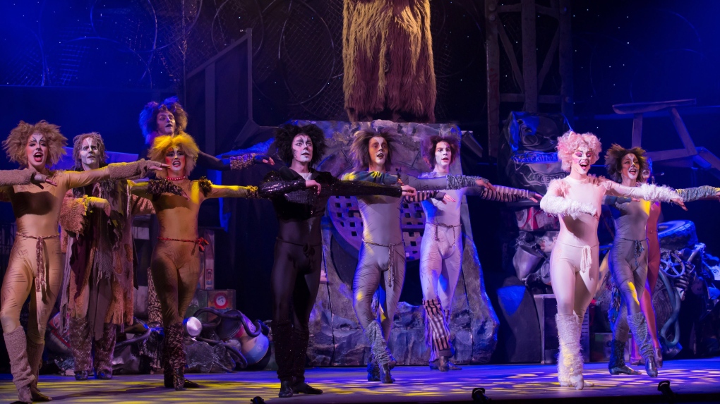 "Cats" the musical