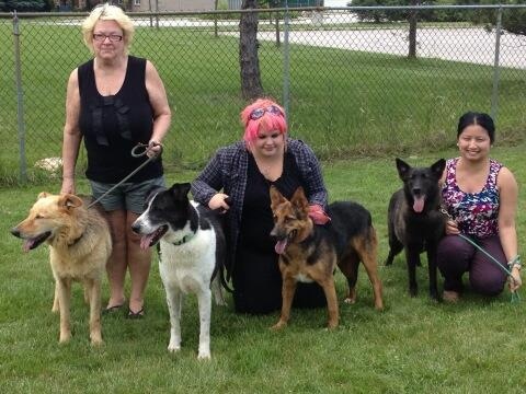 Four dogs from Lebanon stand with volunteers in Windsor, photo by For the Love of Paws Animal Rescue.