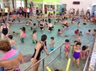 Kids participate in the World's Largest Swim Lesson at Water World in Windsor, Ont., on Tuesday, June 18, 2013. (Chris Campbell / CTV Windsor)