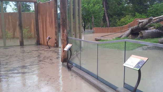 Calgary Zoo flooding