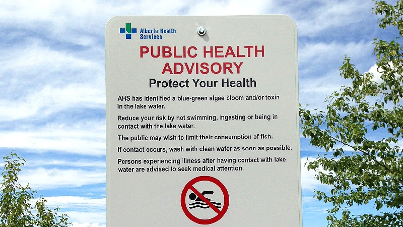 Blue-Green algae warning sign, AHS