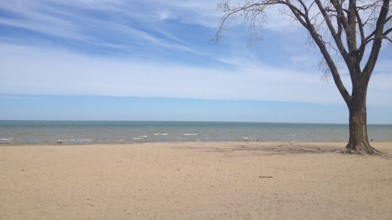 Sandpoint Beach in Windsor, Ont., on June 28, 2013. (Melanie Borrelli/ CTV Windsor)