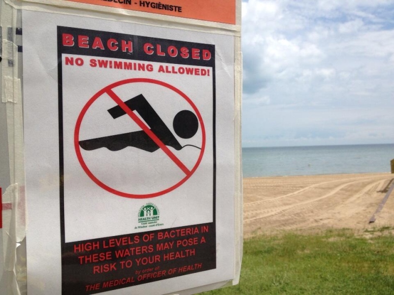 The Windsor-Essex Health Unit is warning the public about many closed beaches in the area on Friday, June 28, 2013. (Christie Bezaire / CTV Windsor)