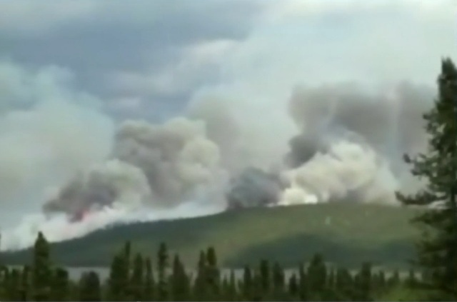 Labrador forest fire