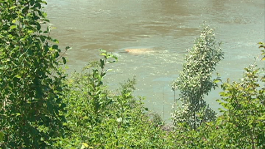 Grader slides into the river | CTV News