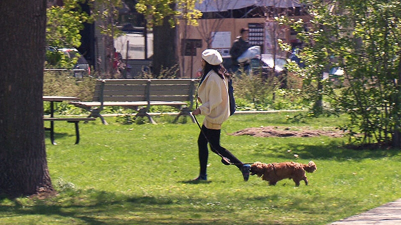 A woman walks her dog in Trinity Bellwoods Park.