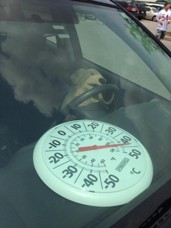 Stuffed dog in hot car