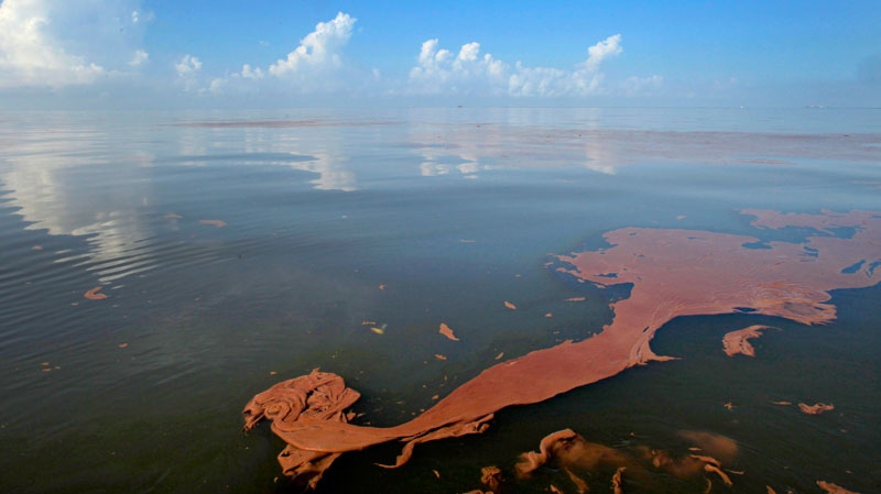 Oil from the BP Deepwater Horizon spill floats on the water with clouds reflected in the sheen on Barataria Bay off the coast of Louisiana, Monday, June, 7, 2010. (AP / Charlie Riedel)