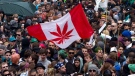 A Canadian flag with a marijuana plant on it instead of a maple leaf is carried through the crowd during a rally in downtown Vancouver, B.C., on Wednesday April 20, 2011. (Darryl Dyck / THE CANADIAN PRESS)