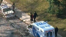 Toronto police take a person into custody following a stabbing at Maple Wood High School in Scarborough, Thursday, April 21, 2011.