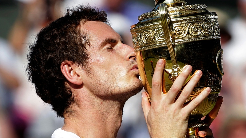 Andy Murray wins Wimbledon men's title