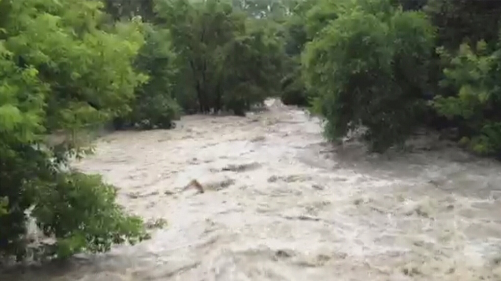 Cooksville creek toronto flooding