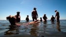 Lisa Eagleton, of Langley, B.C., floats in the waters of Boundary Bay at Crescent Rock Naturist Beach while participating in a world record skinny dip attempt across North America, in Surrey, B.C., on Saturday July 13, 2013. Groups of people in nearly 100 cities across Canada and the U.S. were attempting to set a record for the largest number of people simultaneously skinny-dipping. THE CANADIAN PRESS/Darryl Dyck
