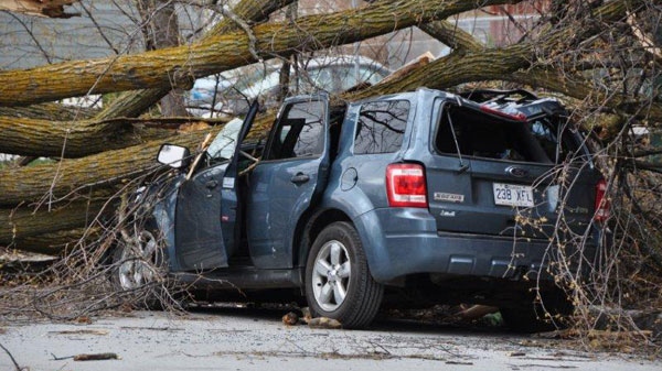 Two children escaped injury when a tree fell on their vehicle on Rue Principal in Aylmer, Thursday, April 28, 2011.