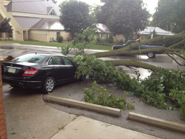 A car is damaged by a fallen tree in Wingham, Ont., Friday, July 19, 2013. (Scott Miller / CTV London)
