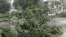 CTV London: Storm damage in southern Ontario