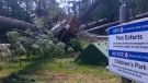 The Fort Coulonge zip line park was heavily damaged by Friday's wind storm.