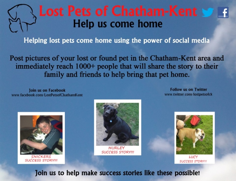 Lost Pets of Chatham Kent uses social media to help reunite pets and owners. (Facebook)