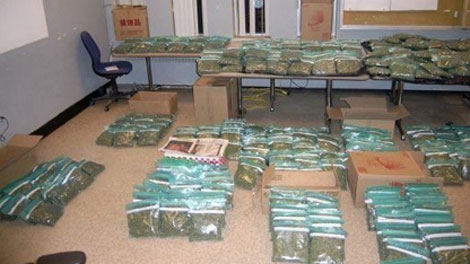 Toronto police showcase packages of marijuana that were allegedly seized during a raid at Pizza Gigi on February 14, 2011. (Toronto Police Handout)