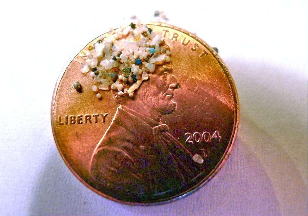 Lake Erie: tiny bits of plastic on a penny