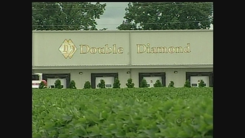 Double Diamond Acres Ltd. is the company involved in a Human Rights Tribunal case.
