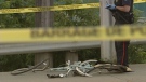 Police conduct their investigation after a cyclist was struck and killed by a cement truck at Bank Street & Riverside Drive in Ottawa on Tuesday, July 30, 2013.