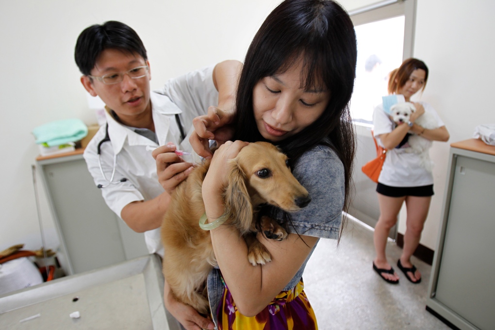 Taiwan rabies outbreak