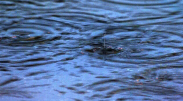 Flood warning issued for parts of Leamington - CTV News