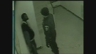 An image taken from surveillance video shows 22-year-old Gladson Chinyangwa speaking to an officer at Windsor residence.