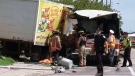  One woman is dead and several people injured after a front-end collision between a TTC bus and a cube van in Scarborough on Tuesday, Aug. 13, 2013. 