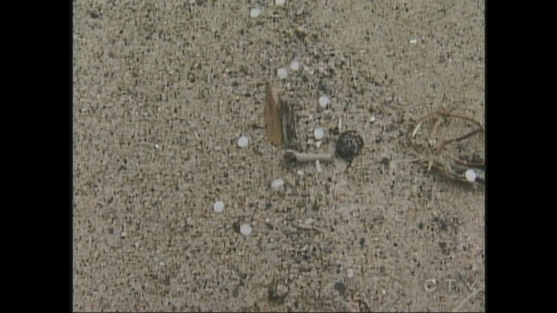 Plastic pellets are seen along the shores of Lake Huron in Grand Bend, Ont. in October 2010.