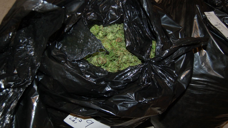Marijuana found in rental truck 