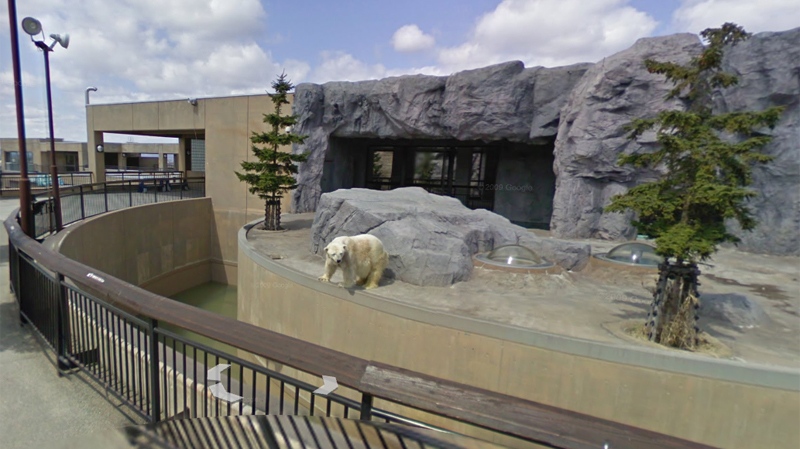 Google Street View goes to world's zoos